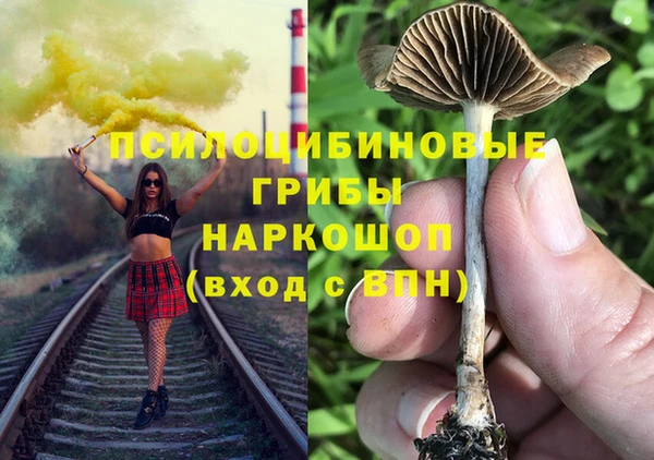 мдпв Алексин