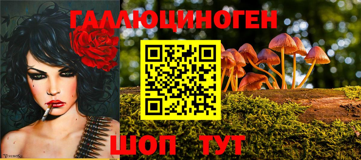 Галлюциногенные грибы Psilocybe  Вход с VPN  Гурьевск 